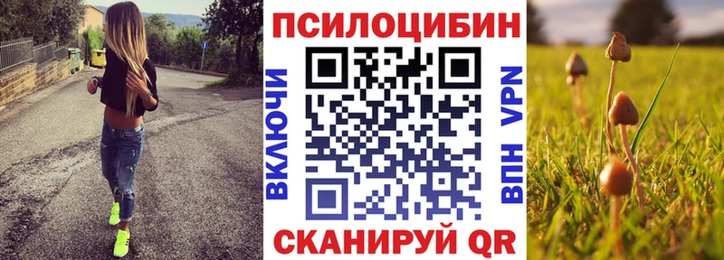 Галлюциногенные грибы Cubensis  KRAKEN онион  Фокино 